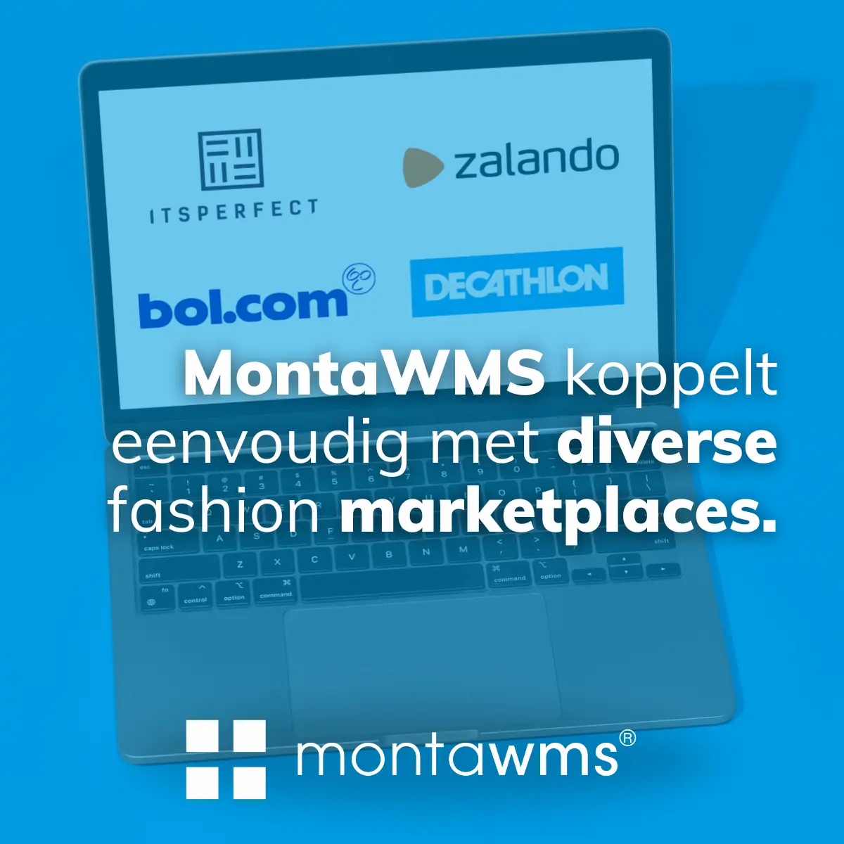 WMS fashion monta