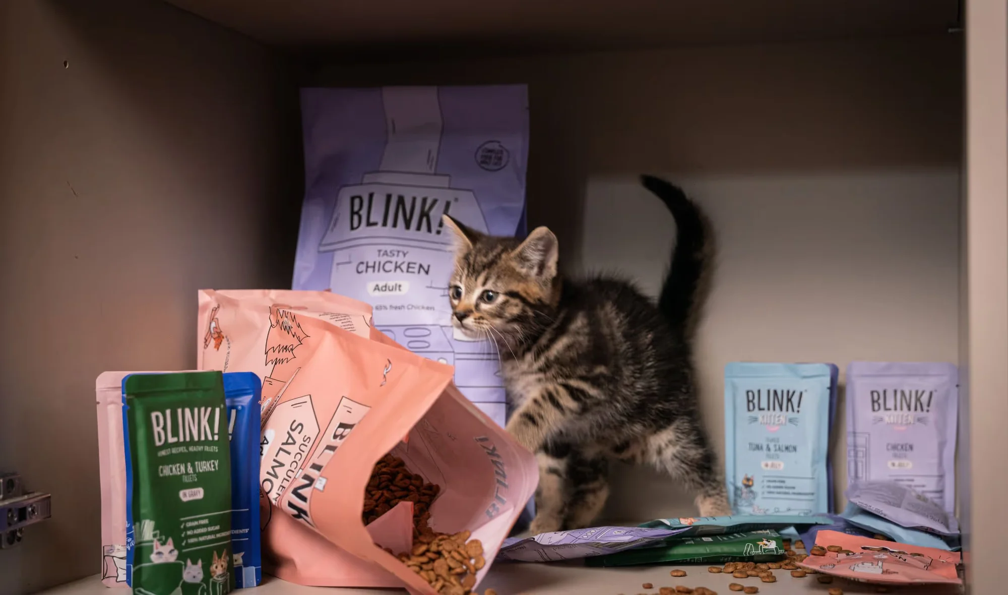 Blink